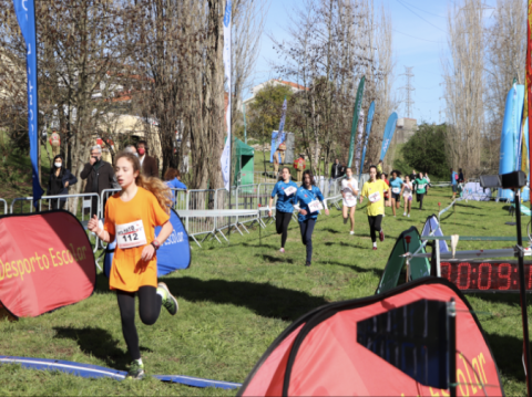 Matosinhos 800 alunos