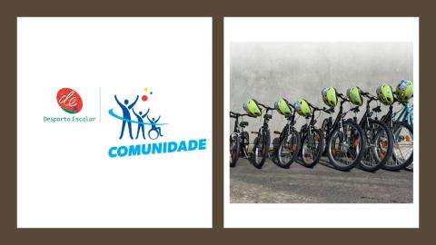 bicicletas alinhadas lado a lado